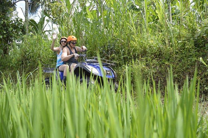 バリ島：昼食付きの半日クワッドバイクツアー