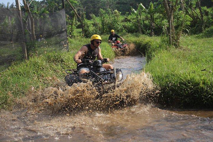 バリ島：昼食付きの半日クワッドバイクツアー
