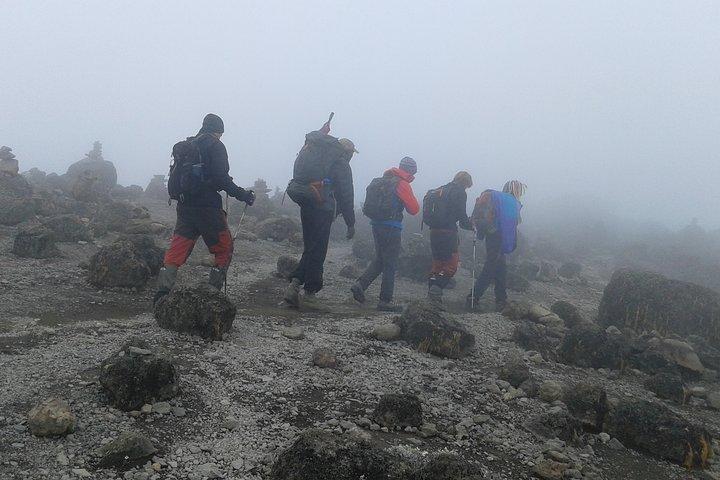 Kilimanjaro 2 dagars vandring