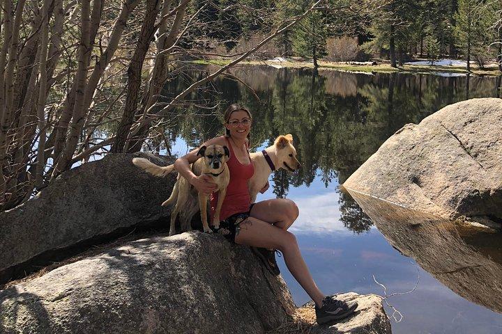 Tour fuoristrada Big Bear Jeep con Hike to Bluff Lake Reserve