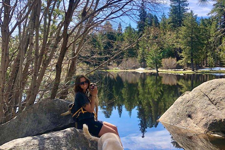 Tour fuoristrada Big Bear Jeep con Hike to Bluff Lake Reserve