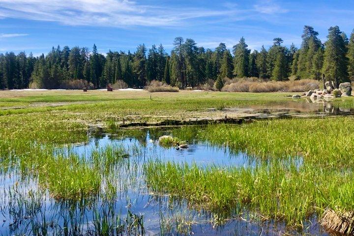 Tour fuoristrada Big Bear Jeep con Hike to Bluff Lake Reserve