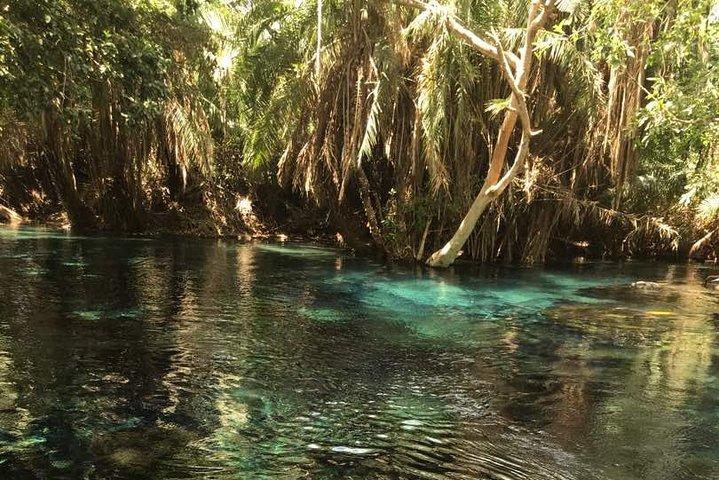 Kikuletwa Hotspring Day Tour