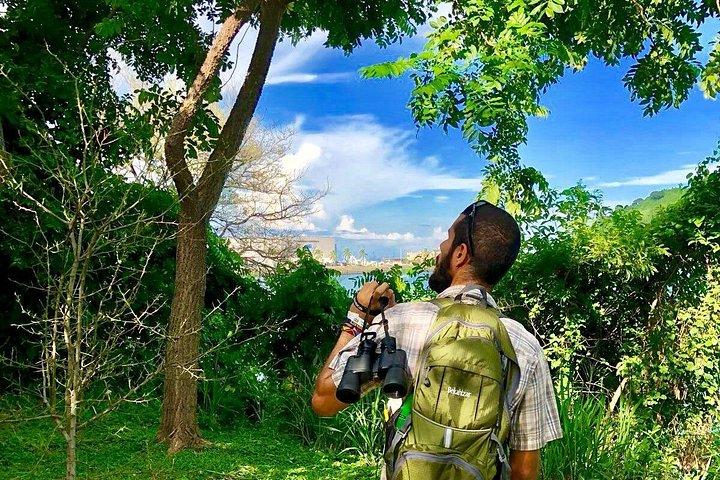 太平洋岸:シティサンライズプライベートツアー