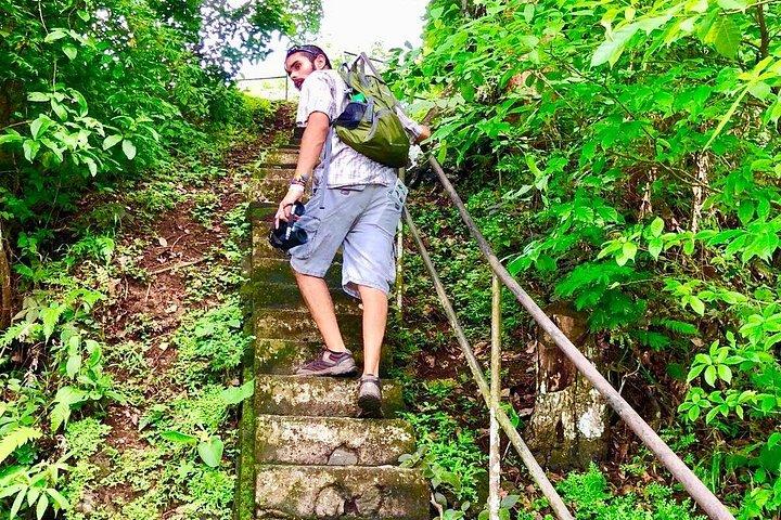 太平洋岸：シティサンライズプライベートツアー