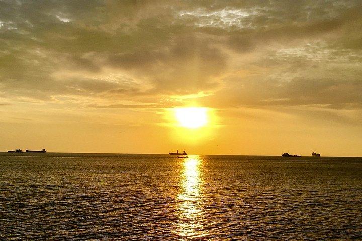 太平洋岸：シティサンライズプライベートツアー