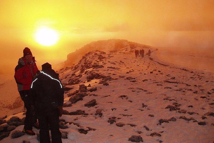東アフリカ市民のためのキリマンジャロ山トレッキング(5日間のマラングルート)