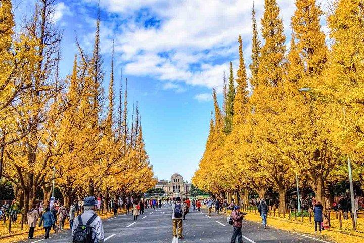 日本語庭園＆西洋建築：赤坂探検ツアー