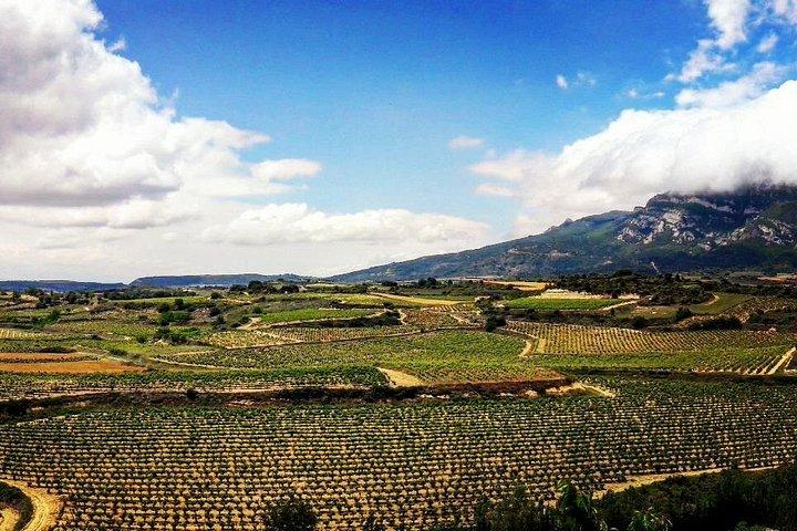 Rioja's Topwijnen proeverij privétour