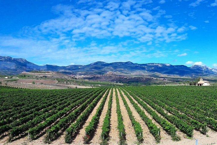 Rioja's Topwijnen proeverij privétour