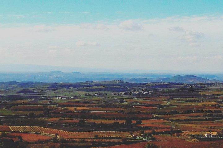 Rioja's Topwijnen proeverij privétour