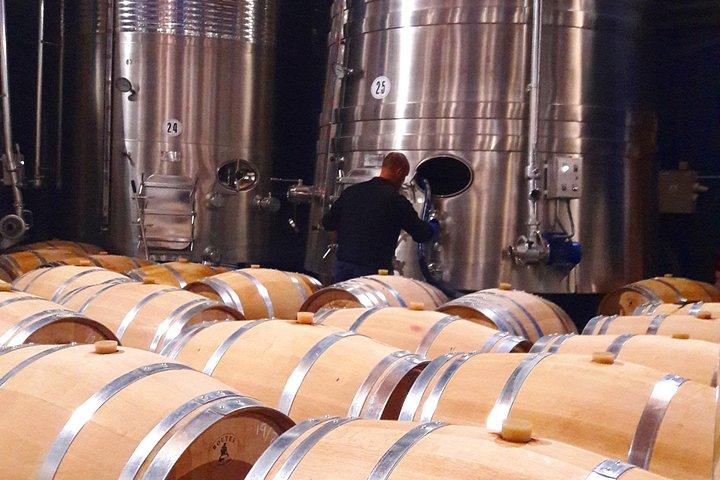 Rioja's Topwijnen proeverij privétour