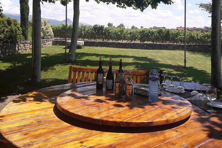 Rioja's Topwijnen proeverij privétour