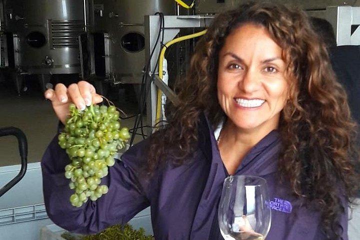 Rioja's Topwijnen proeverij privétour