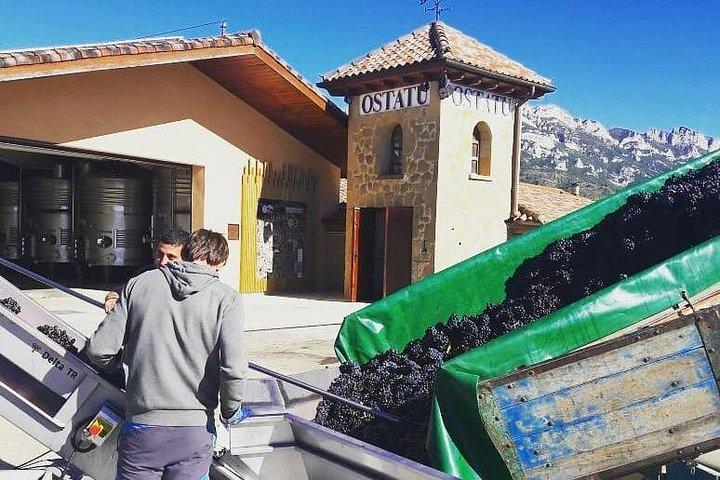 Rioja's Topwijnen proeverij privétour