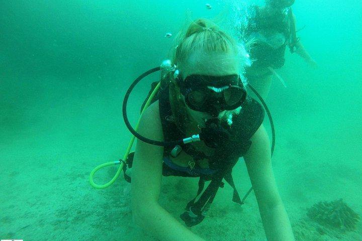 Discover Scuba Diving in Fujirah Dibba