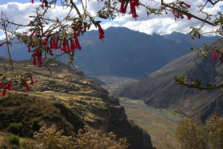 Machu Picchu & Huchuy Qosqo 5 dage