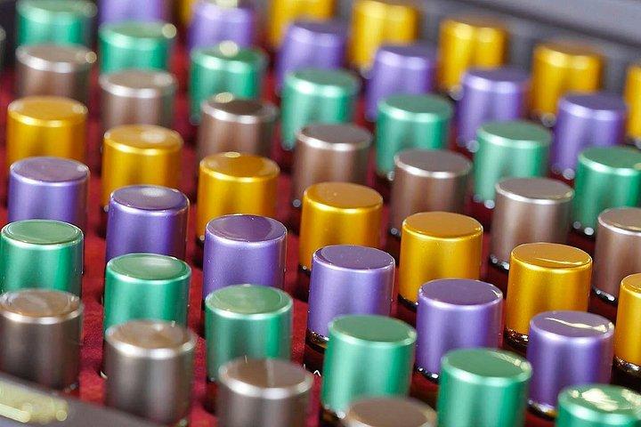 ボルゲリ：官能的なワインテイスティングとワイナリーツアー