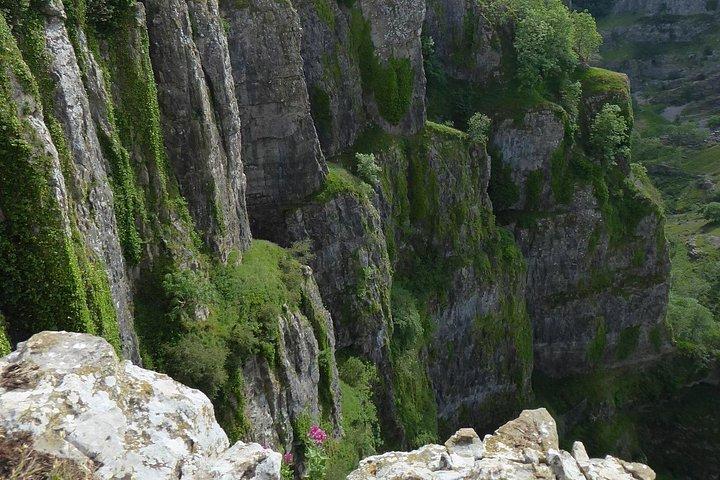 Wells, Cheddar Cheese e Cheddar Gorge - Private Day Trip da Bristol