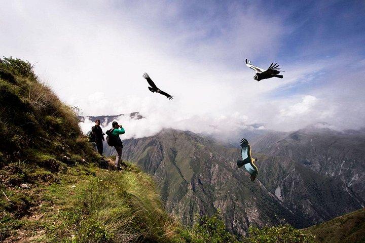 Aventure unique au Machu Picchu 6 jours