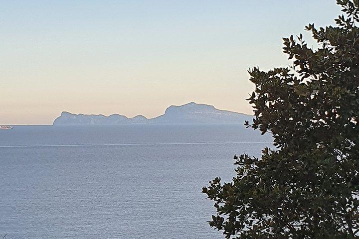 Excursion en bord de mer à Naples : excursion d'une journée à Capri avec déjeuner au départ de Naples