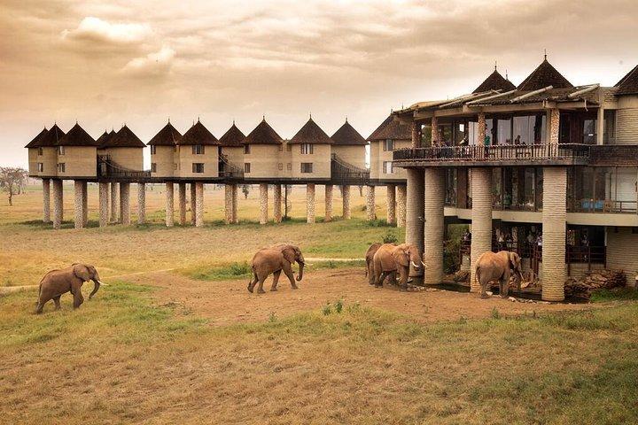 モンバサのTaita Hillsの2日間のサファリ