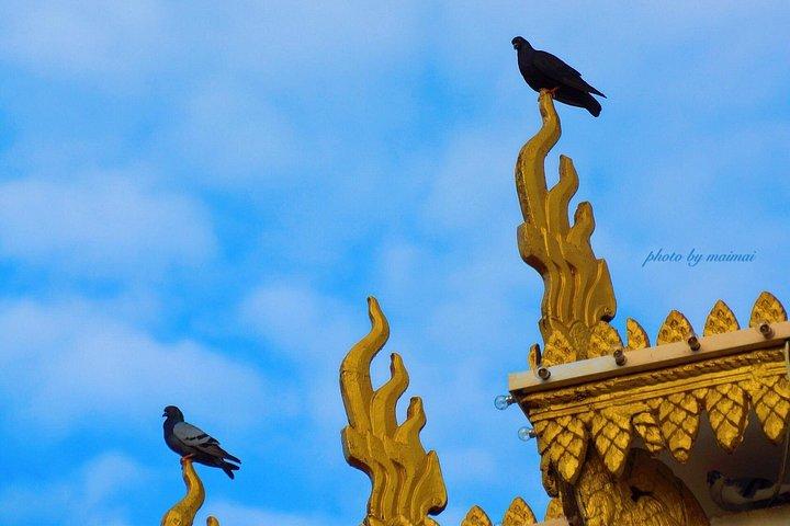 プノンペンバイタルディスカバリー - 1日ツアー（すべてのサービスを含む）