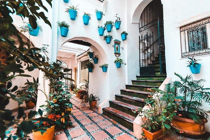 Malaga privat kystudflugt til Marbella og Puerto Banus