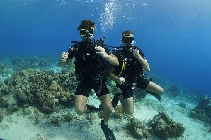 Guided Shore Dive för certifierade dykare med Scubaçao (2 tank)