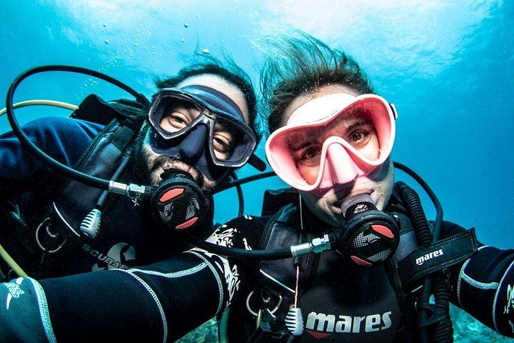 Guided Shore Dive for Certified Divers with Scubaçao (2 tank)