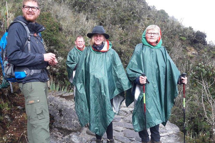 Inca Day Tour to Machu Picchu from Cusco