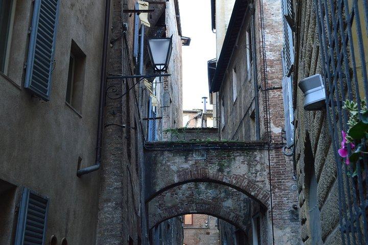 Siena Family Tour