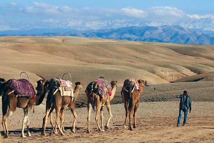 Agafay Desert: Sunset Magical Dinner, Pool & Camel ride