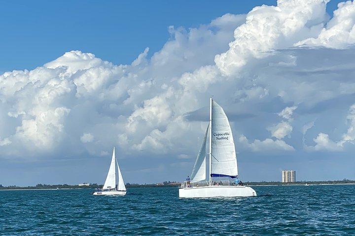 Voile de jour copacétique
