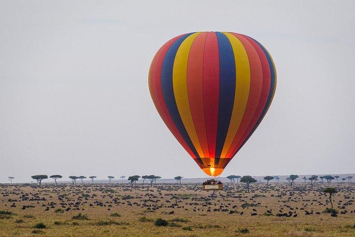 Safari di 3 giorni al Masai Mara combinato con esperienza di giro in mongolfiera