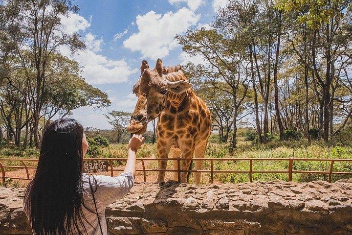 カーニボアレストラン、ブリクセン博物館、キリンセンター、