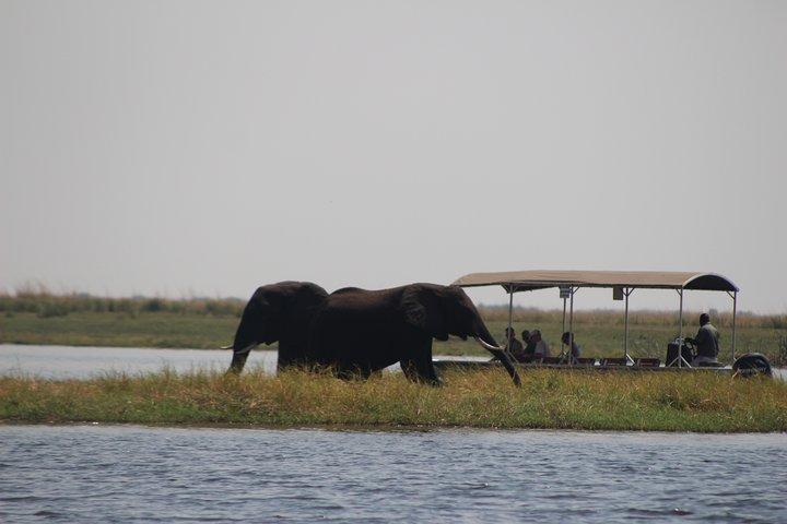 5 giorni Victoria Falls e Chobe National Park