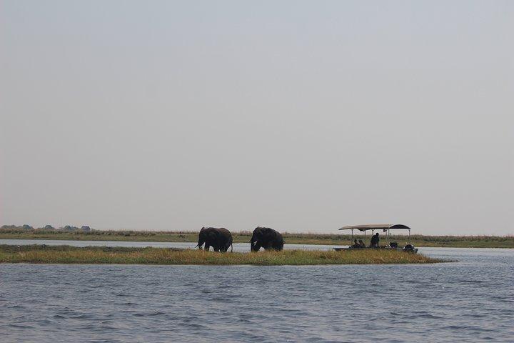 5 giorni Victoria Falls e Chobe National Park