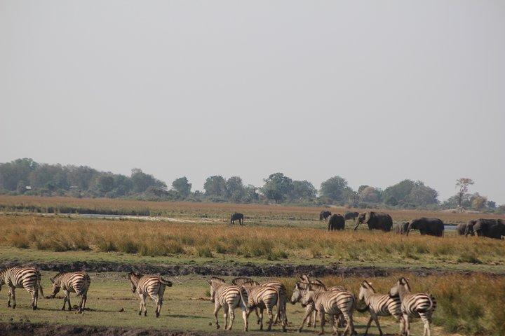 5 giorni Victoria Falls e Chobe National Park