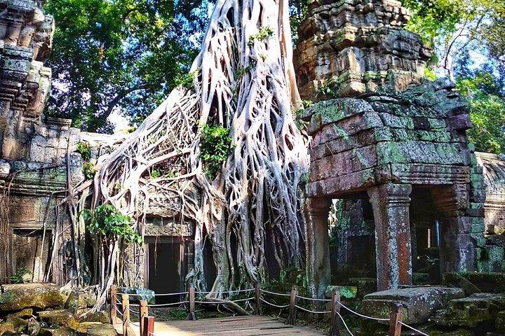 1-Day Angkor Temple Complex plus Banteay Srei Tour
