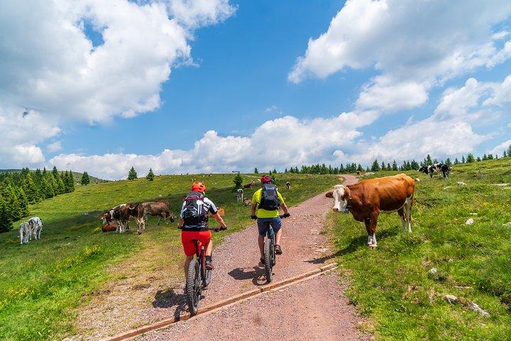Pokljuka Mountain Bike