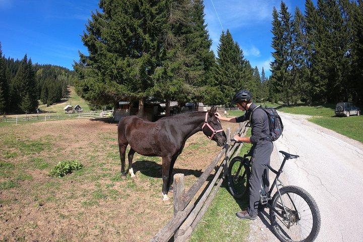 Pokljuka Mountain Bike