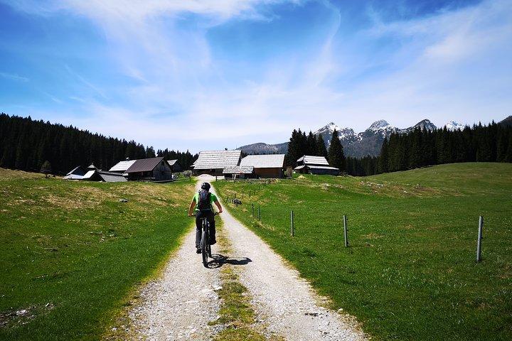 Pokljuka Mountain Bike