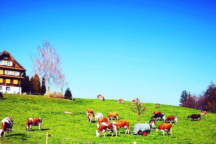 Appenzell en Liechtenstein Tour vanuit Luzern