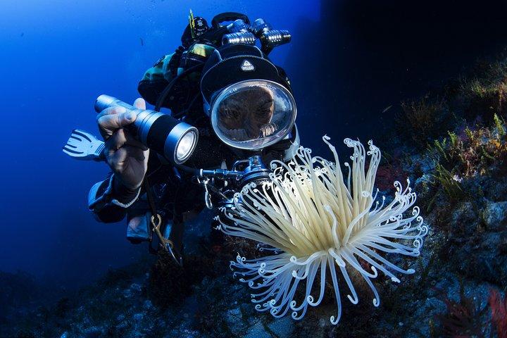 Scuba diving in Calabria, Italy