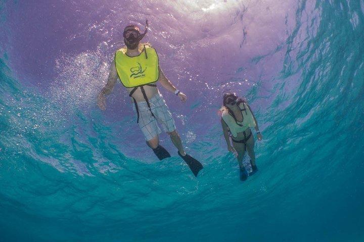 Fajardo, Puerto Rico: Schnorcheln am Strand