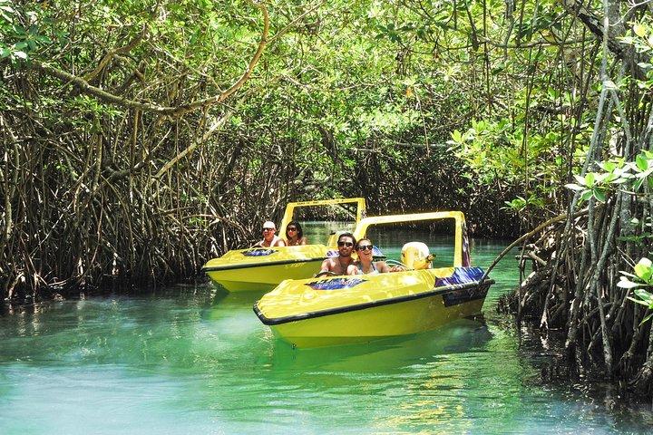 Tour en lancha motora por la jungla y snorkel