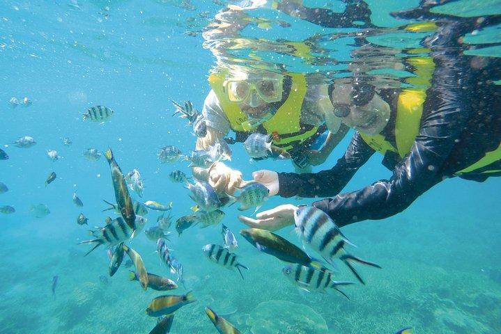 Transfert privé : Kuala Lumpur à Jetty pour Redang Island