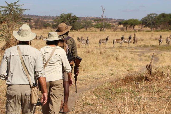 2 dages Lodge safari.