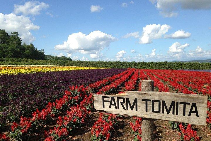 北海道マイカーサービス – 運転手付きトヨタ・ハイエース